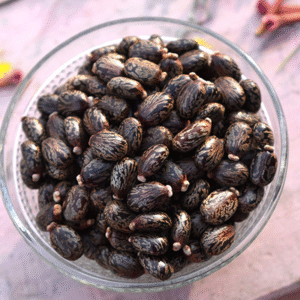 Castor Seeds