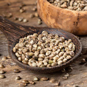 Hemp Seeds